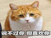 泉州鑫都钢结构制作有限公司