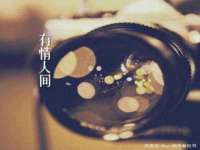 泉州鑫都钢结构制作有限公司
