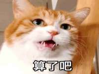 泉州鑫都钢结构制作有限公司