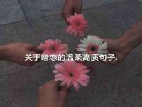 泉州鑫都钢结构制作有限公司