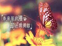 泉州鑫都钢结构制作有限公司