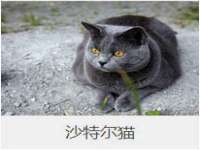 泉州鑫都钢结构制作有限公司