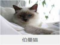 泉州鑫都钢结构制作有限公司