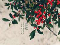 泉州鑫都钢结构制作有限公司