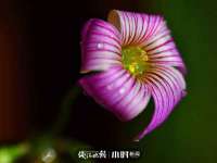 泉州鑫都钢结构制作有限公司