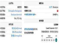 泉州鑫都钢结构制作有限公司