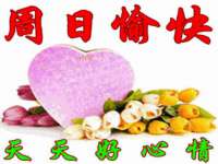泉州鑫都钢结构制作有限公司