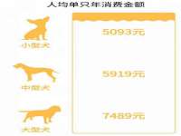 泉州鑫都钢结构制作有限公司