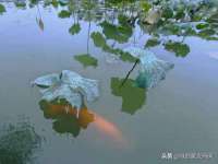 泉州鑫都钢结构制作有限公司