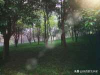 泉州鑫都钢结构制作有限公司