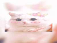 泉州鑫都钢结构制作有限公司