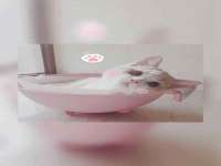 泉州鑫都钢结构制作有限公司