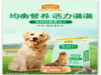 泉州鑫都钢结构制作有限公司