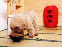 泉州鑫都钢结构制作有限公司