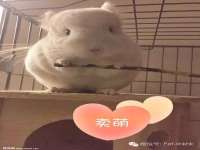泉州鑫都钢结构制作有限公司