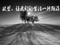 泉州鑫都钢结构制作有限公司