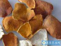 泉州鑫都钢结构制作有限公司