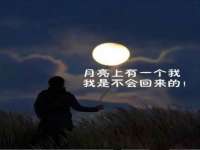 泉州鑫都钢结构制作有限公司