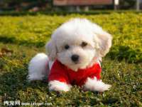 泉州鑫都钢结构制作有限公司