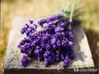 泉州鑫都钢结构制作有限公司